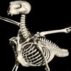 rhino 3d